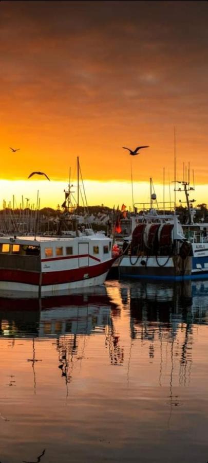 Studio Face A La Mer Concarneau Dış mekan fotoğraf