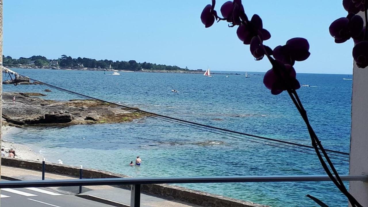 Studio Face A La Mer Concarneau Dış mekan fotoğraf